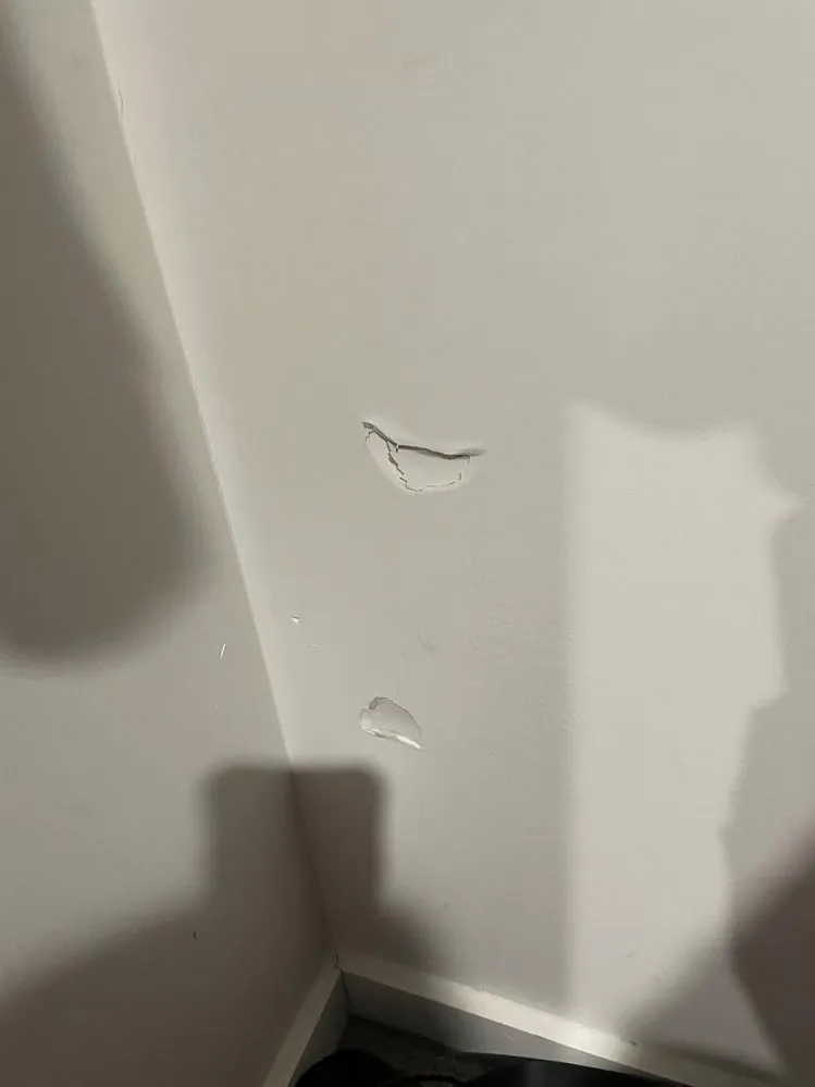 Drywall Repair